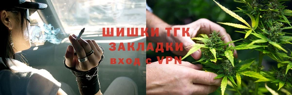 дурь Магас