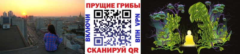 Псилоцибиновые грибы прущие грибы  Заозёрный 